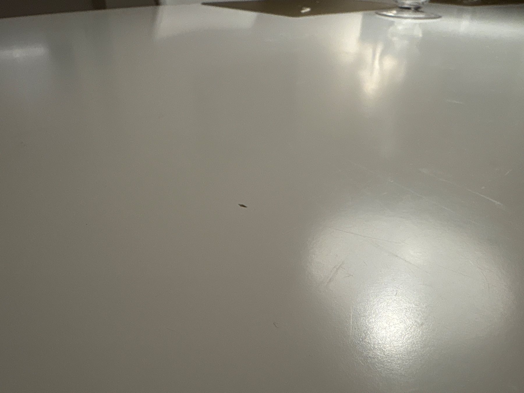 Tavoli: Ovaler Tisch 113 x 225 x 74 – Usato da Azmoos venduto da alix001 3