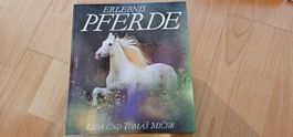 Erlebnis Pferde