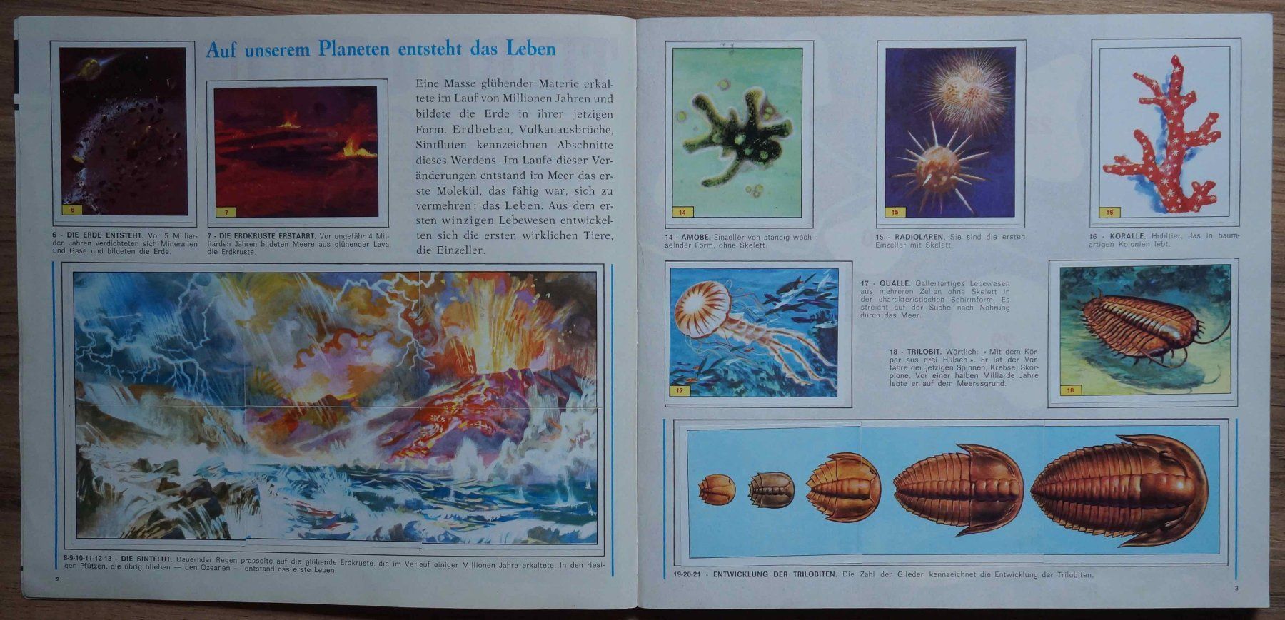 Panini Alben: Panini-Album Tiere der Urzeit – Gebraucht aus Schindellegi von woneschi 3
