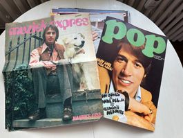 BEE GEES ROBIN GIBB BARRY MAURICE tolle Poster 60's POP