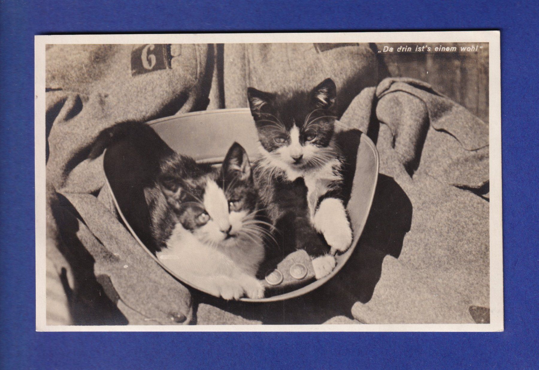 Ansichtskarten: CHAT - Chatons dans casque militaire - Feldpost – Gebraucht aus Pully von nicecards-shop