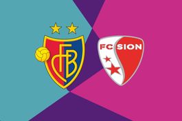 1x Sektor D / FC Basel - FC Sion