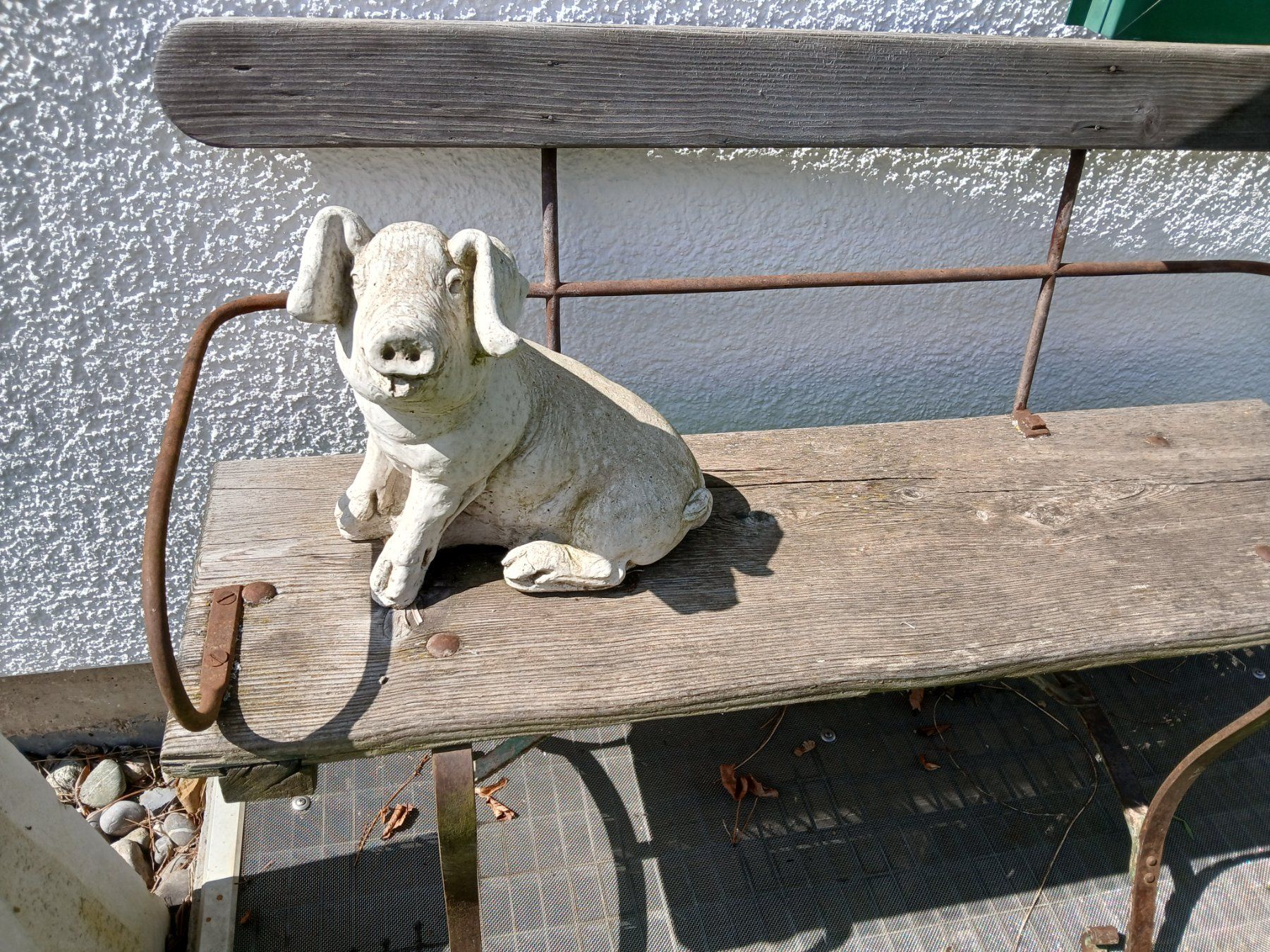 Sculture & Statue: Schwein Gartenskulptur gegossen – Usato da Zumikon venduto da Vollvintage 1