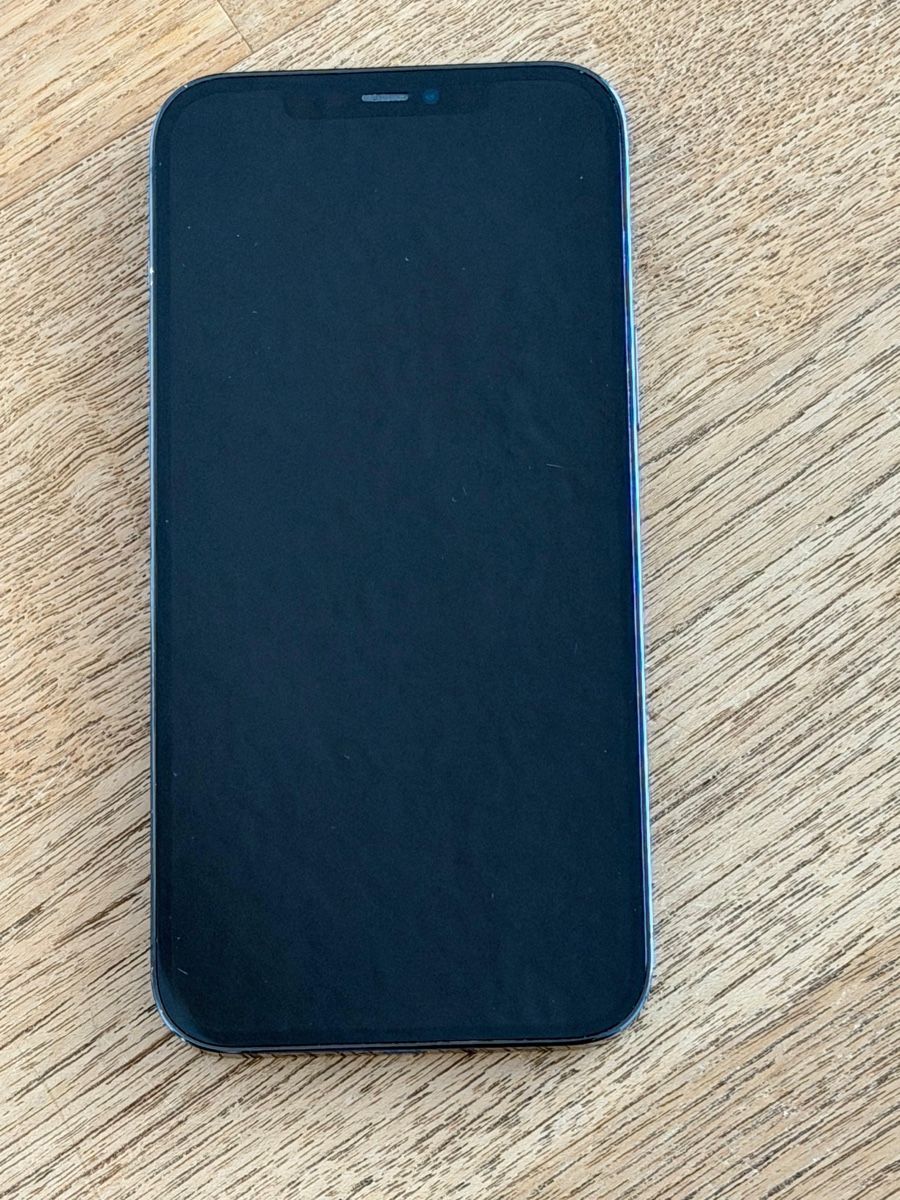 Apple Telefoni cellulari / Smartphones: iPhone 12 Pro Max 256GB – Usato da Jona venduto da noe_gc9h