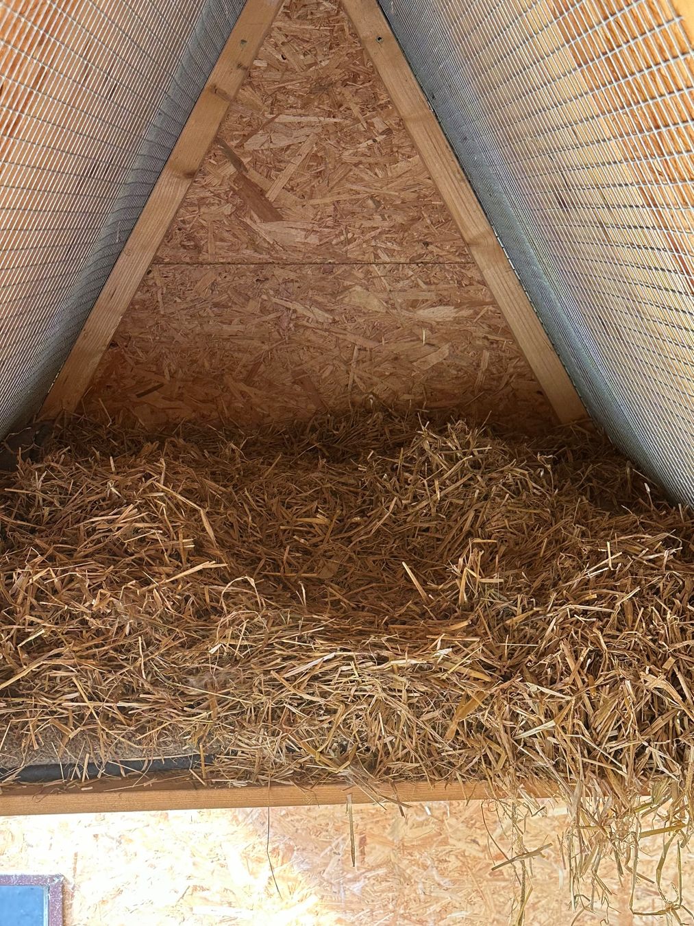 Cages, transport & sécurité: Meerschweinchen- oder Kaninchengehege Morgenegg – D'occasion à Winterthur par Tramstrasse 2