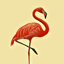 Profile image of pink_flamingo
