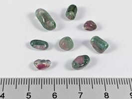 Wassermelonen Turmalin 8Stk. 6 bis 12mm, 11.50ct