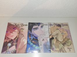 The Male Bride/ Band 1 - 3