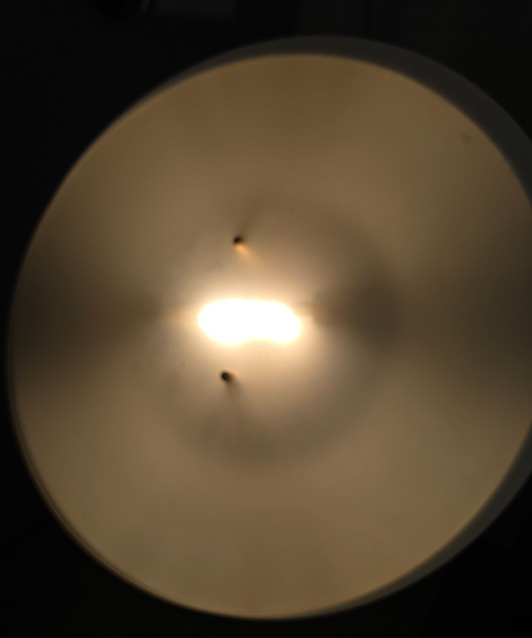 Lampen: Stehlampe Messing mit Leseleuchte wie neu – Gebraucht aus Flums von Flumsantik 3