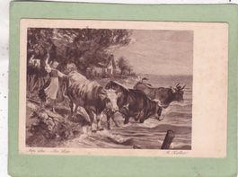 Kitsch Kunst Am See Au Lac  R. Koller  Kühe  1922