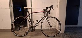 Rennrad Superior, Carbon, Shimano Ultegra und Dura-Ace