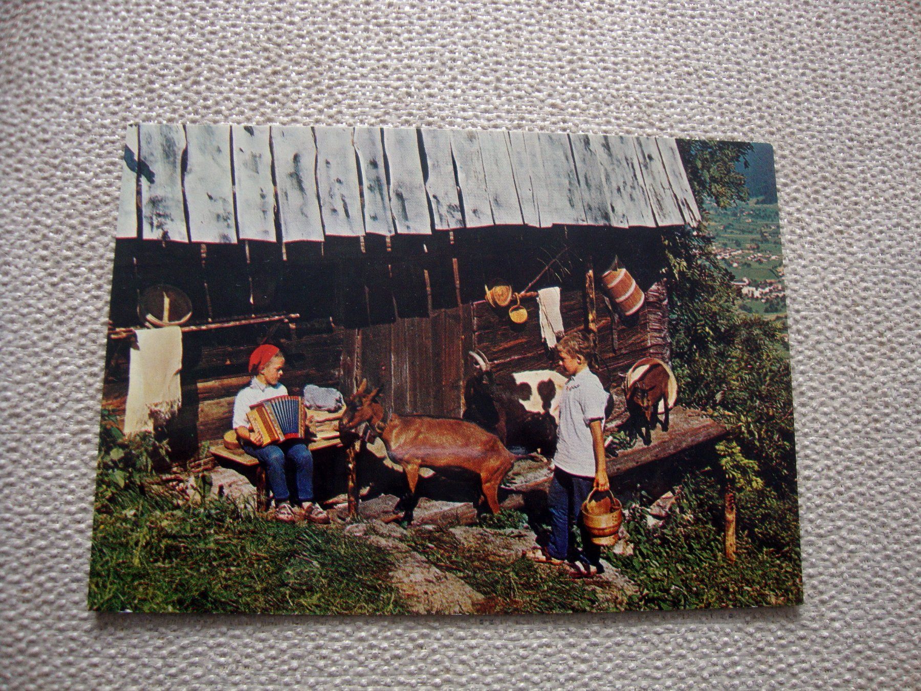 Cartoline postali: Alp Leben Ansichtskarte Geissen Kinder Stall – Nuovo (secondo la descrizione) da Döttingen venduto da Kubuli1
