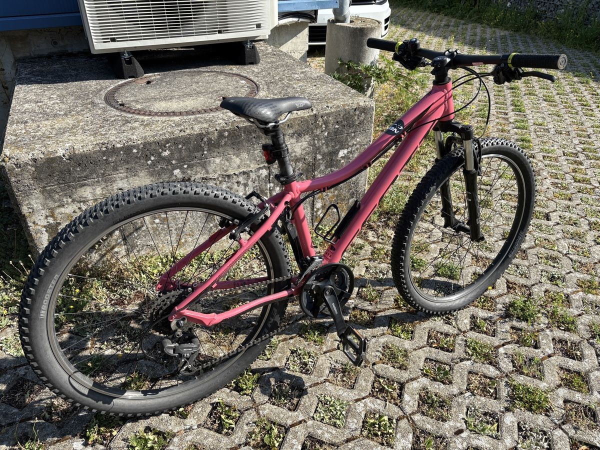 Scott Biciclette: Scott Contessa 26 Zoll – Usato da Bassersdorf venduto da Zuerileu6 2