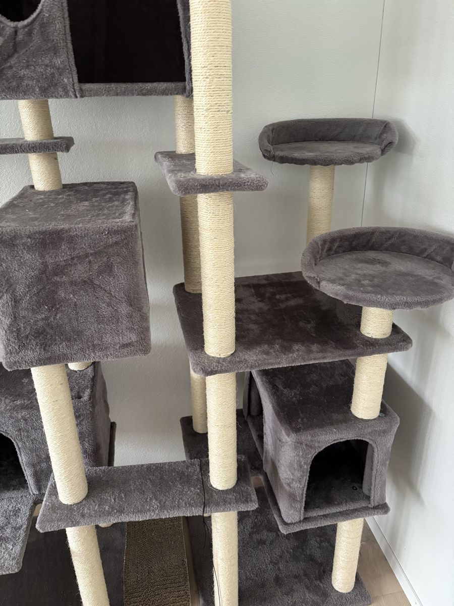 Tiragraffi: Kratzbaum Katzen 214cm grau – Usato da Lömmenschwil venduto da tmr_xx 3