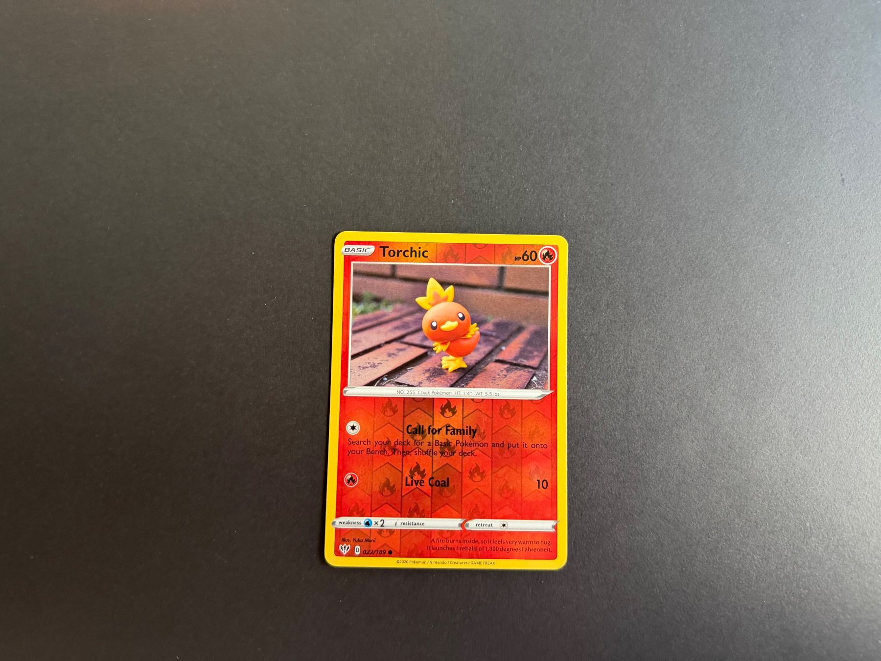 Pokémon Sammelbilder & Trading cards: Torchic 022/189 – Gebraucht aus Zürich von mountainwizard00