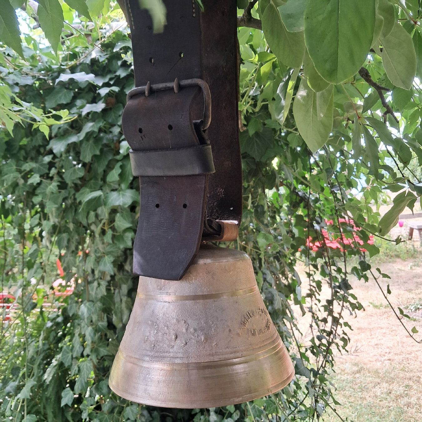 Glocken & Treicheln: GUTE ALTE VIGLINO FREIBURG  – Gebraucht aus Murten von SHETHOF 5