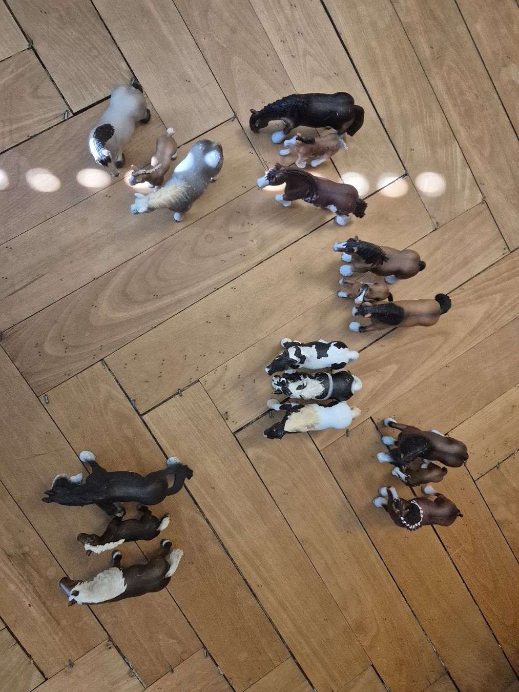 Schleich Figuren: Schleich Pferde div. – Gebraucht aus Zürich von Enila1977