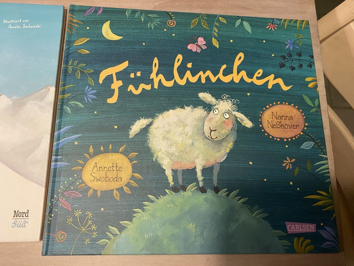 Bücher: Bücherpaket mit 4 neuwertigen Büchern – Neu (gemäss Beschreibung) aus Witterswil von Chivy 4