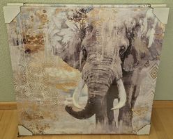 Elefant - wild life