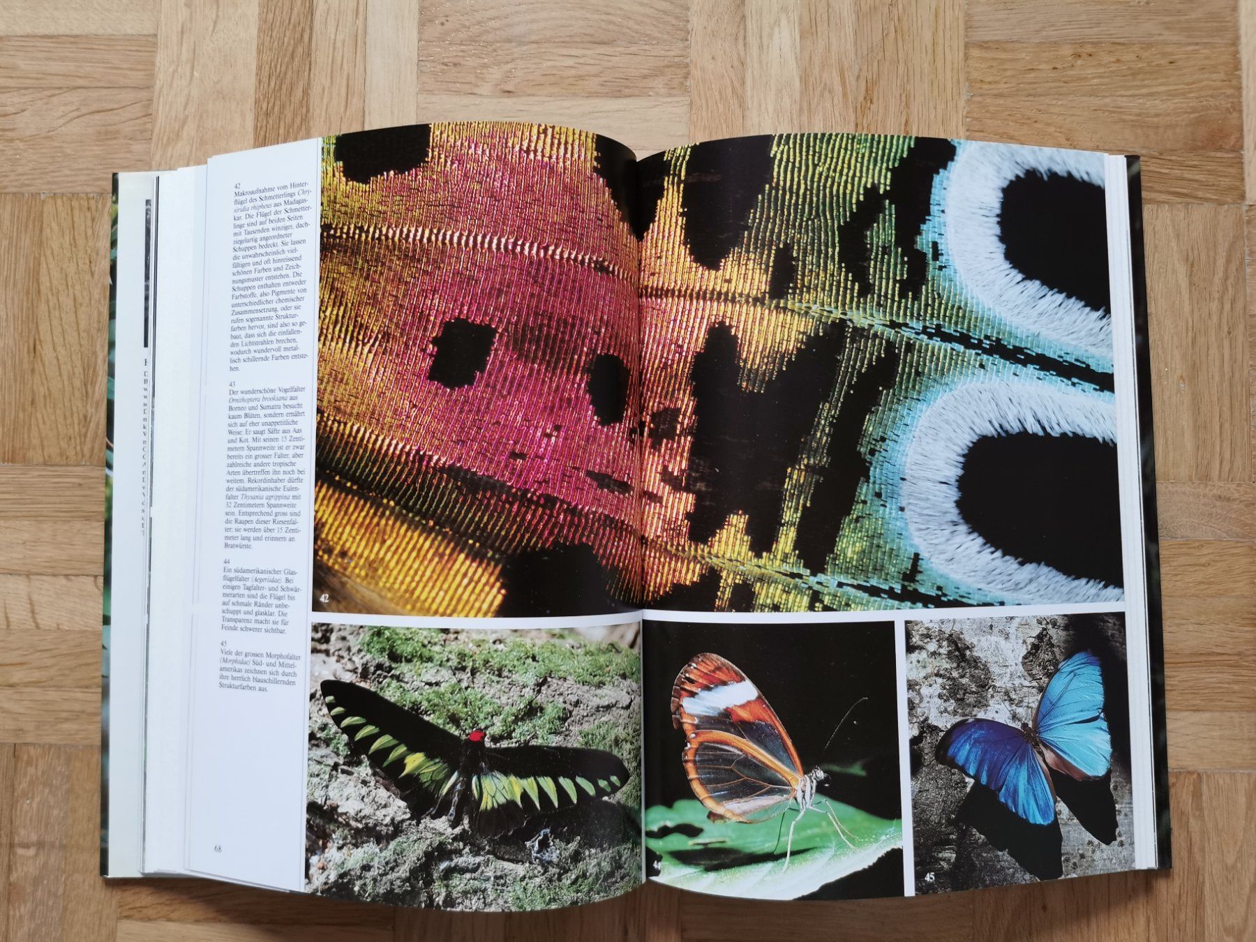 Libri: Leben im tropischen Regenwald – Usato da Stäfa venduto da flamingo_17 6