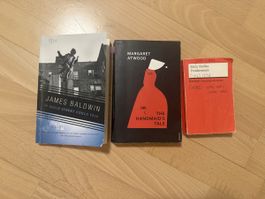 Englisch Bücher, Handmaid‘s Tale, James Baldwin, Frankenstei