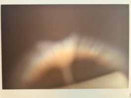 Fotografie auf Dibond (2012)