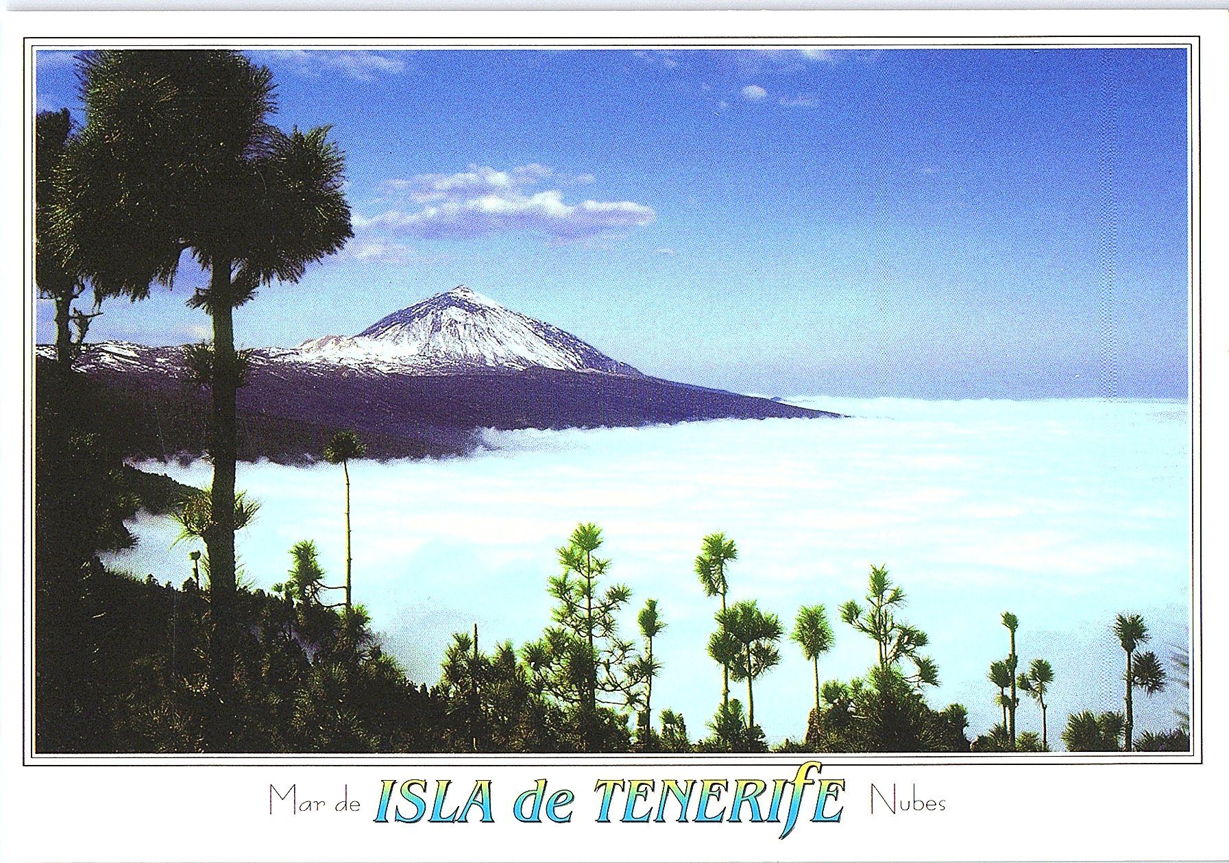 Ansichtskarten: AK Isla de Tenerife 7 Ansichtskarten neu – Neu (gemäss Beschreibung) aus Würenlos von KKMeister 5