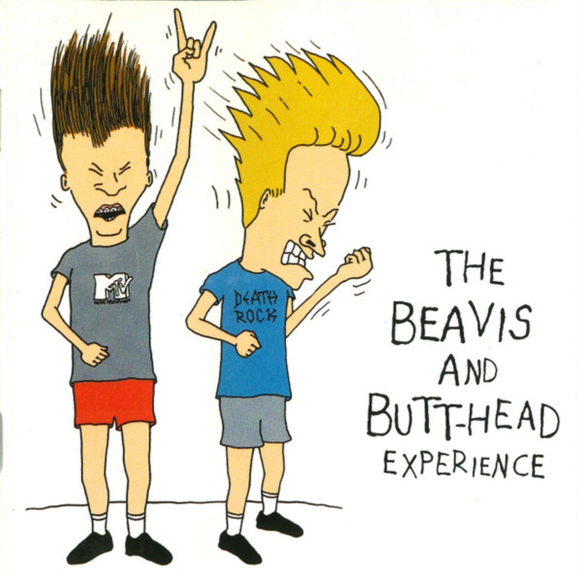CD: The Beavis And Butt-Head Experience (CD) – Usato da Brunnen venduto da Barfly5