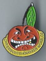 Chrisistei-Knakker Würenlos, Fasnacht PIN