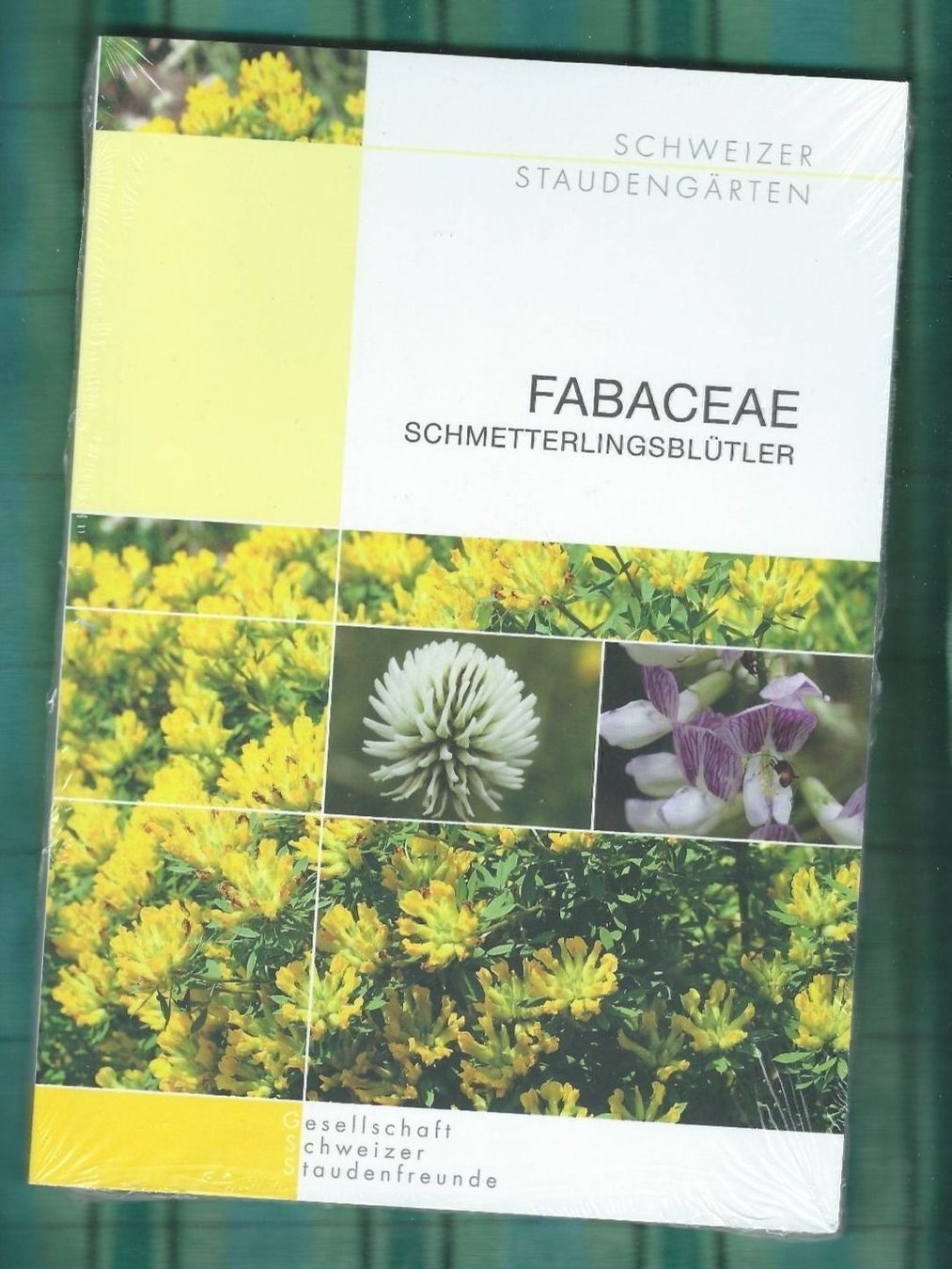 Libri: Fabaceae,  Schmetterlingsblütler – Nuovo e nell'imballaggio originale da Zürich venduto da t24_de