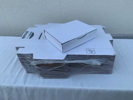50 x Versandkarton 25x18x5,5cm| neu & OVP