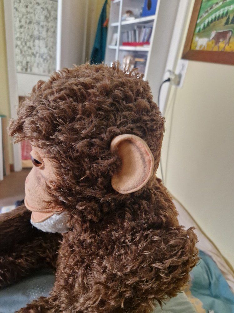 Steiff Giocattoli: Antiker grosser Schimpansen aus Mohair – Usato da Zürich venduto da hmaeder01 5