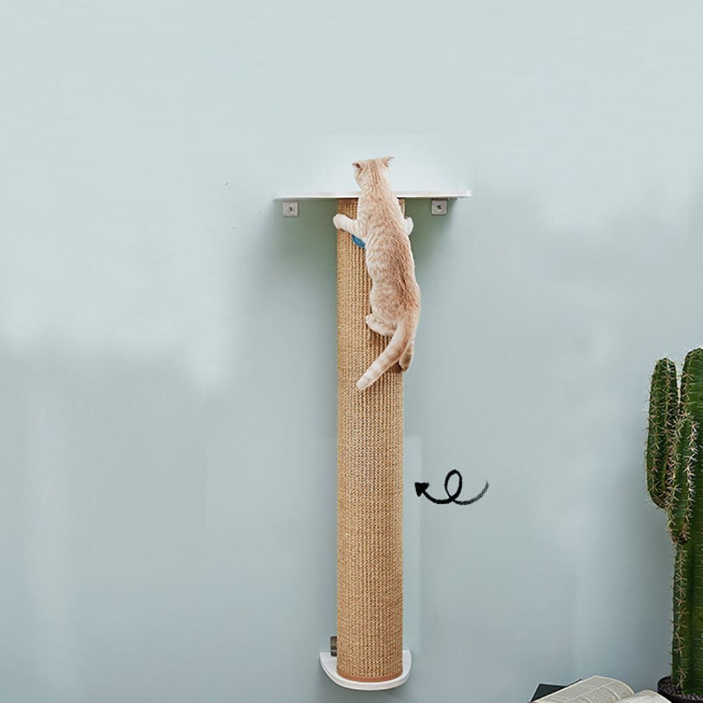 Kletterausrüstungen: CatS Design Katzen Kletterwand Set – Neu und originalverpackt aus Mönchengladbach von Zoopplier 4