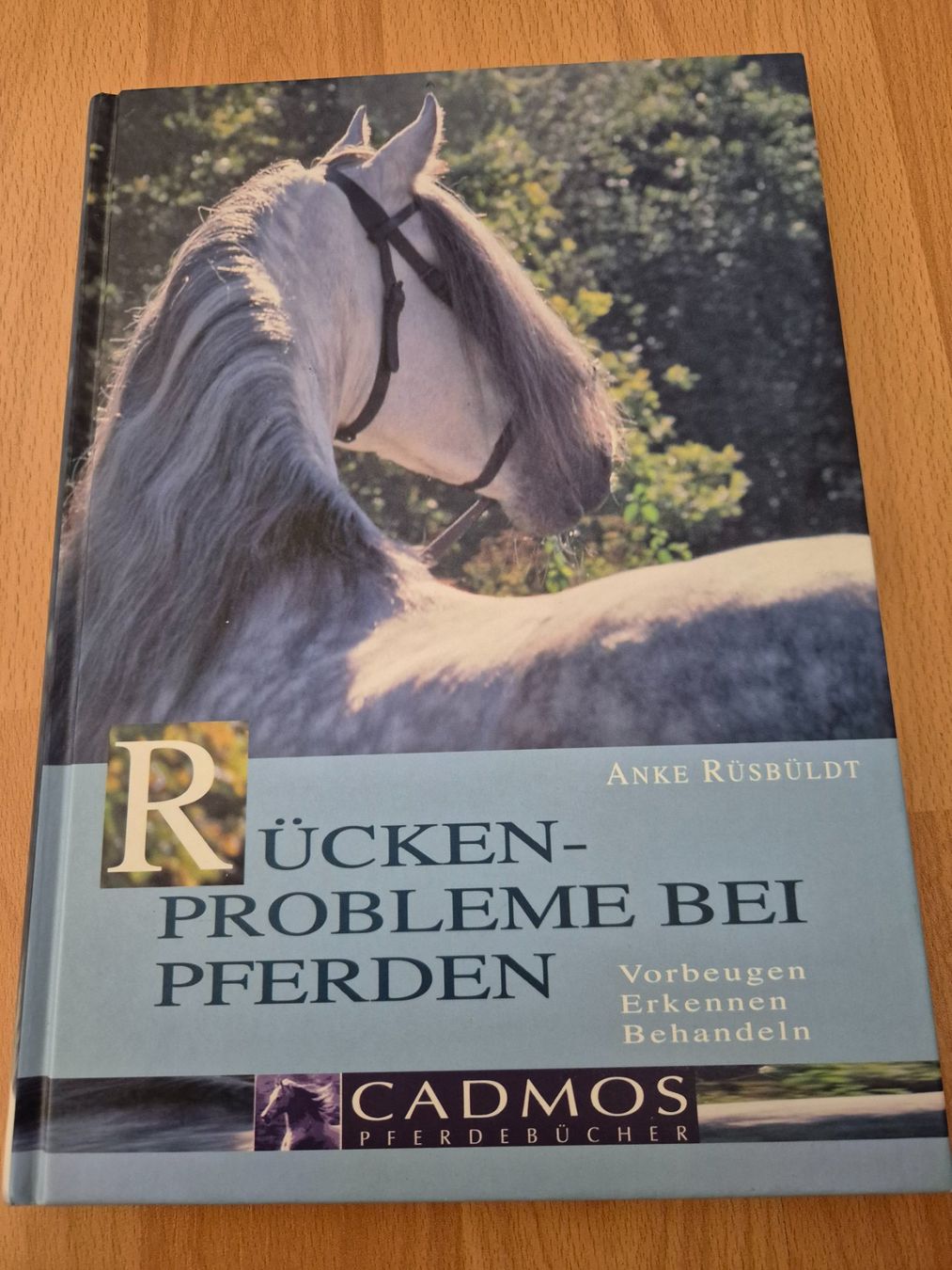 Brides, licols: Pferdefachbuch – Neuf (Voir description) à Meggen par Orrinka20