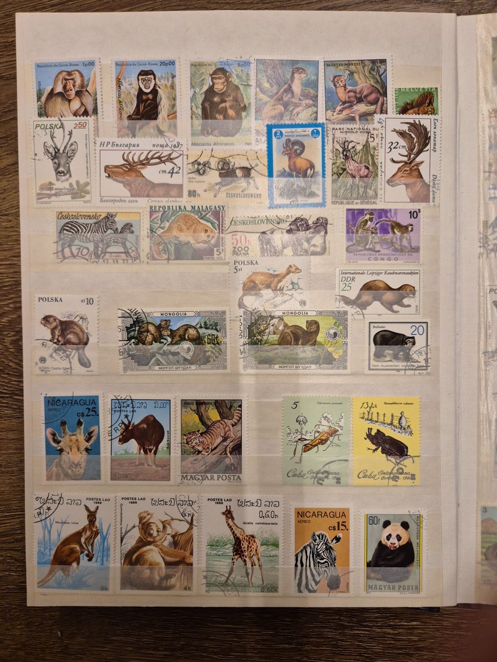 Tutti i francobolli: Briefmarkensammlung – Usato da Zäziwil venduto da Nadj23 5