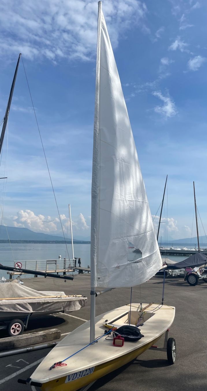 Laser Barche: Laser Standard et Radial – Usato da Crans VD venduto da arolli63 4