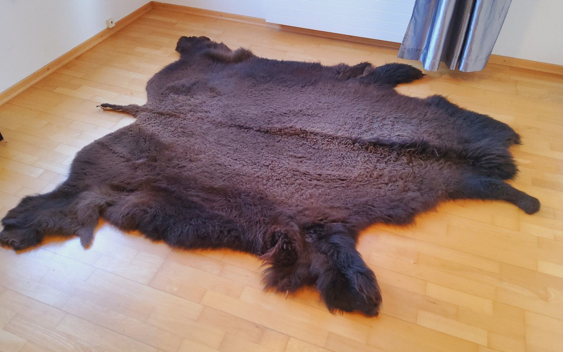 Monde des animaux: BisonFell (Echt) – Neuf (Voir description) à Ruggell par Tim-Werk 9
