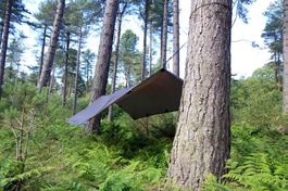 DD Hammocks DD Tarp M - coyote braun Reg