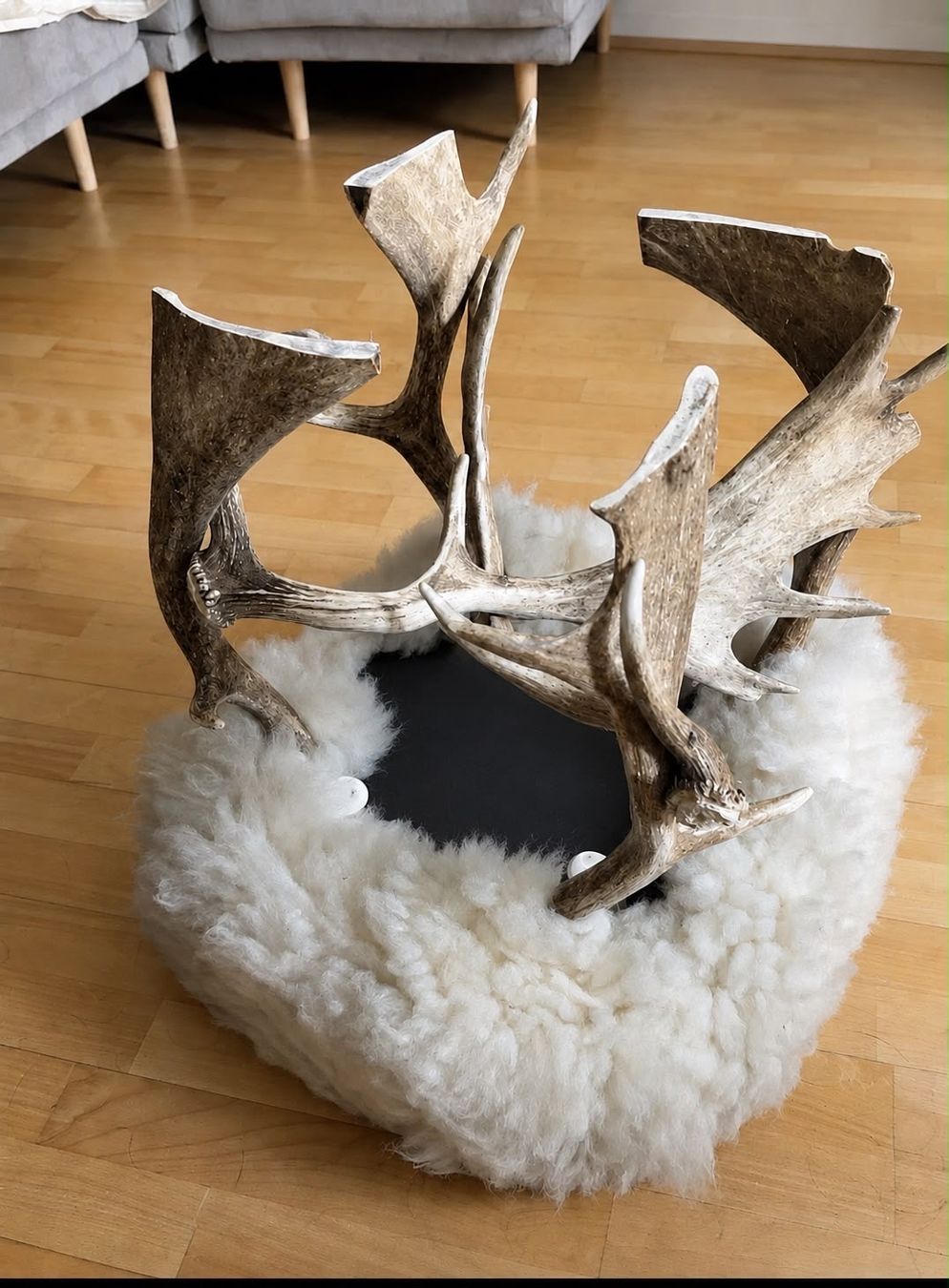 Hocker: Original Geweih-Hocker mit Fell – älteres Einzelstuck – Gebraucht aus Uetikon am See von phi_8pxk 1