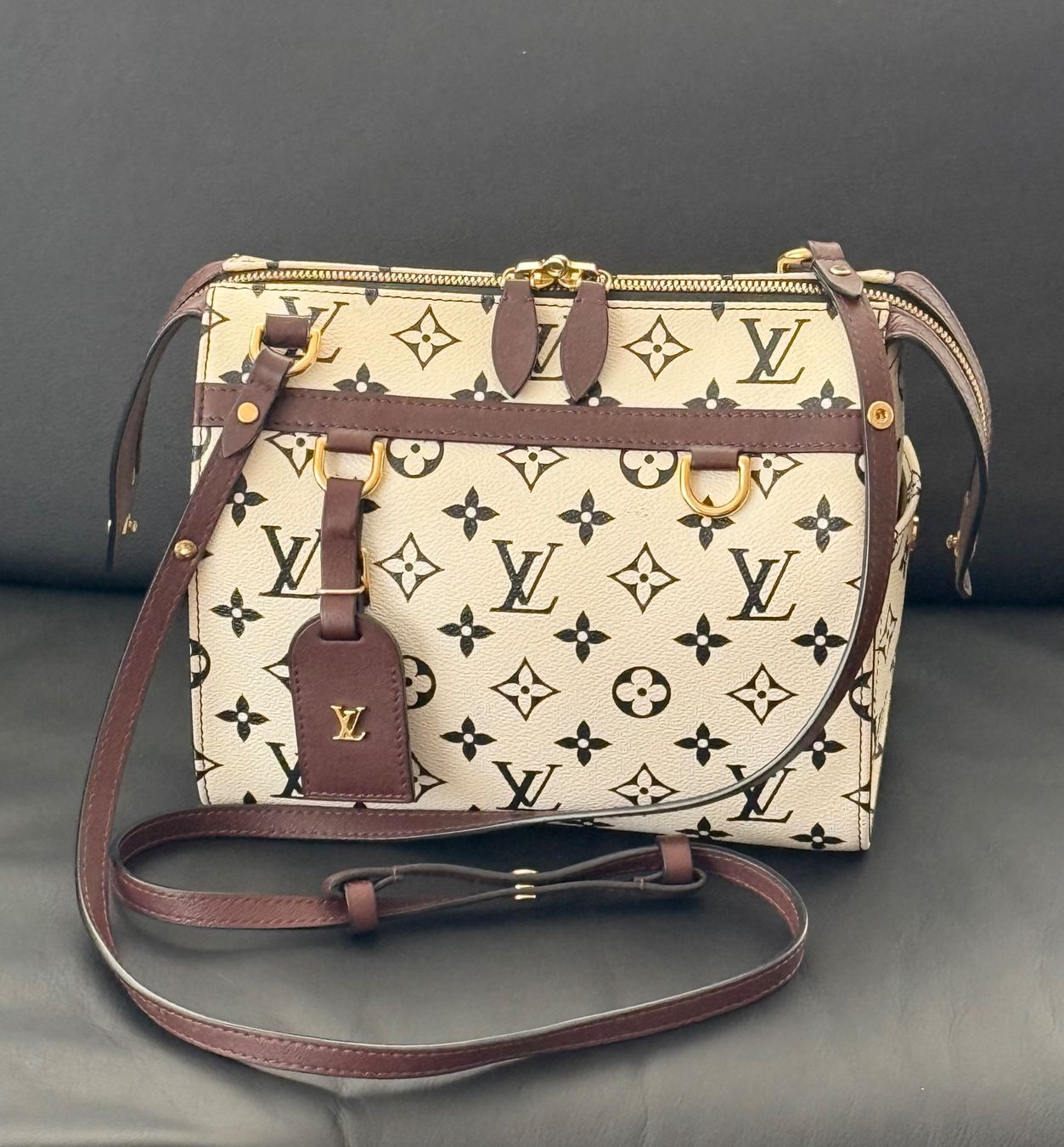 Louis Vuitton Borse da donna: Louis Vuitton Speedy Amazon PM – Usato da Reinach AG venduto da RobbisB 3