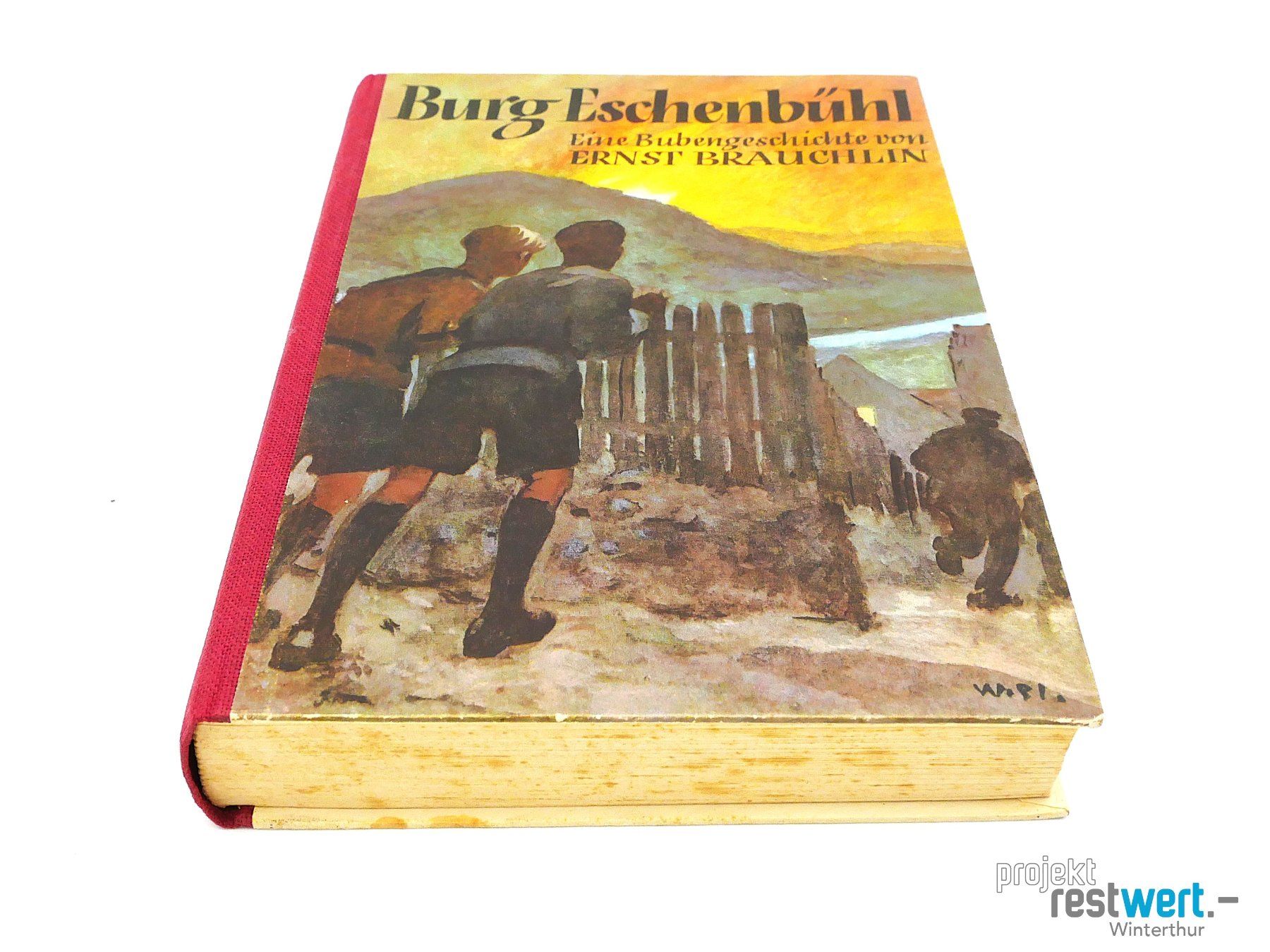 Bücher: BURG ESCHENBÜHL Eine Bubengeschichte E. Brauchlin – Gebraucht aus Winterthur von Restwert_Winterthur