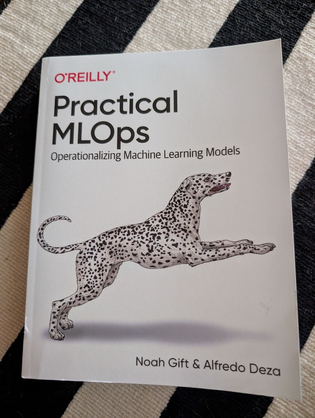 Livres: Practical MLOps – D'occasion à Oberwil-Lieli par stefim