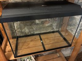 Jewel Aquamarium 60x30x40 cm