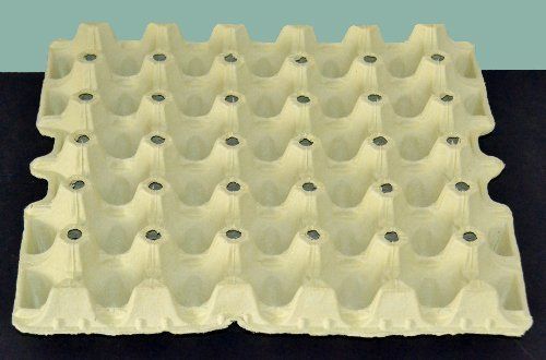 Cartoni: Eierkartons für 30-Eier – Nuovo e nell'imballaggio originale da Lauperswil venduto da oeko-sack