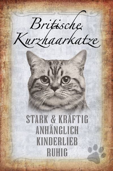 Insegne: Blechschild-STECKBRIEF-BRITISCH.KURZHAAR KATZE – Nuovo e nell'imballaggio originale da Rupperswil venduto da big-one-sale