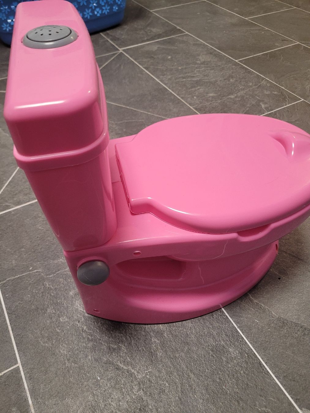 WC: Pinkes Töpfchen / Kindertoilette – Gebraucht aus Toffen von ver_x68f 1