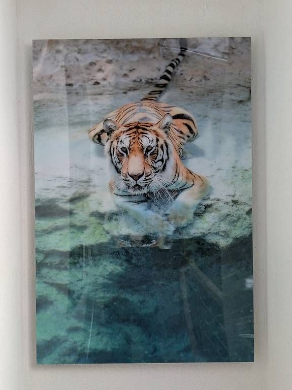Foto & Immagini: Tableau Tigre, effet vitré neuf – Nuovo (secondo la descrizione) da Pampigny venduto da nic_575j