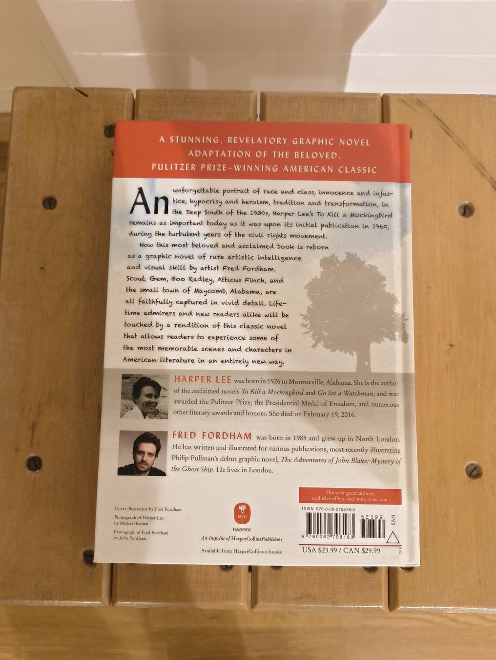 Libri: To Kill a Mockingbird – Usato da Wädenswil venduto da sil_9brv 1