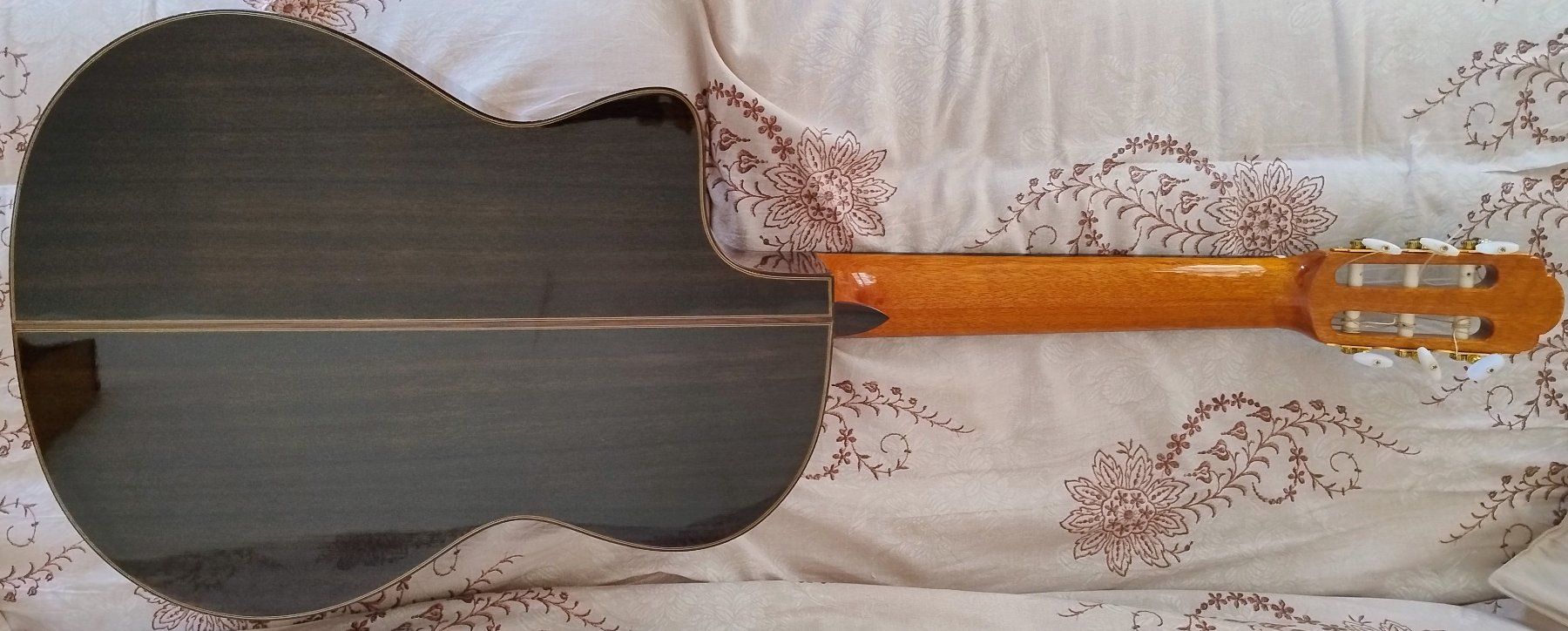 Aria Strumenti musicali: Aria A-60CWE – Usato da Bellinzona venduto da Notturno13 1