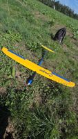 Rc Elektrosegler "Cougar von Staufenbiel" seltene Rarität